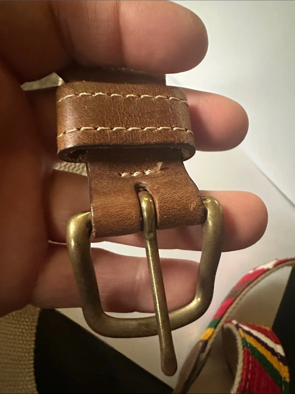 A tail We Could Wag Colorful Woven Canvas Belt with Leather Trim